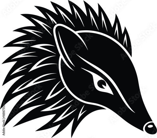 Vector art of a closeup, stylized black and white illustration of a hedgehogs head, showcasing its spiky quills and alert expression, isolated on a