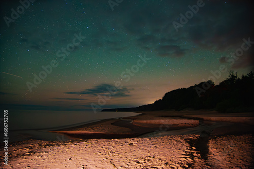 Starry night sky over a calm beach with glowing sand and dark forest silhouette.