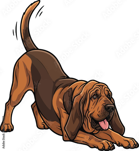 Cute Bloodhound dog playful bow pose vector illustration