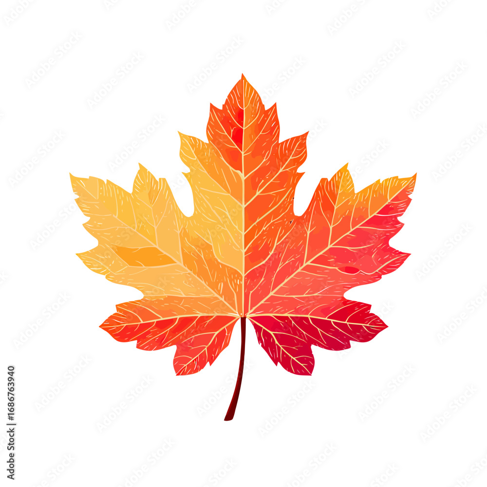 A beautiful and vibrant watercolor illustration of a single autumn maple leaf with a stunning red and orange gradient, isolated on a clean white background.
A beautiful and vibrant watercolor illustration of a single autumn maple leaf with a stunning red and orange gradient, isolated on a clean white background.