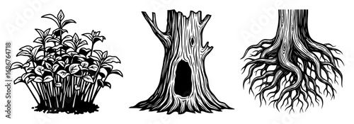 Forest elements vector set – undergrowth shrub, hollow stump and exposed tree roots, detailed woodland line art