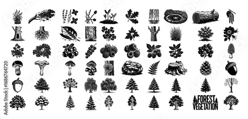 Forest vegetation icon pack vector – woodland plants, mushrooms, trees and natural elements in detailed black line art