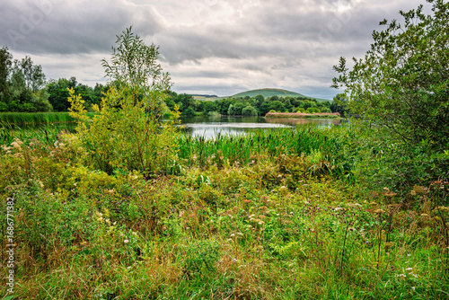 Branton Lakes East Lake Nature Reserve, which was constructed from a former mineral quarry, located at Branton in the Breamish Valley, Northumberland