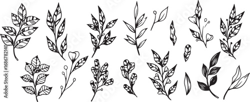 Garden Icons, Plant Symbols, Botanical Patterns, Green Designs, Black White Art, Floral Graphics, Plant Elements, Green Icons, Botanical Symbols, Vector Art, Nature Patterns, Plant Graphics, Green Des