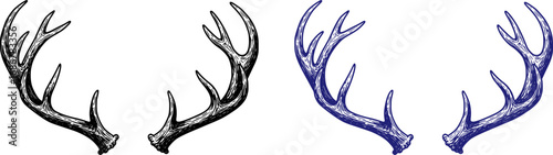 vector set of Deer horns. Doodle style
