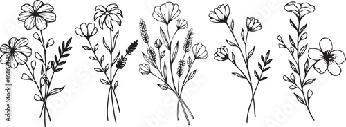 Botanical Flower Doodles with Floral Elegance, Black and White, Artistic, Playful, Creative, Illustrated, Expressive, Unique, Simple, Natural, Organic, Blooming, Verdant, Nature-Inspired Design

