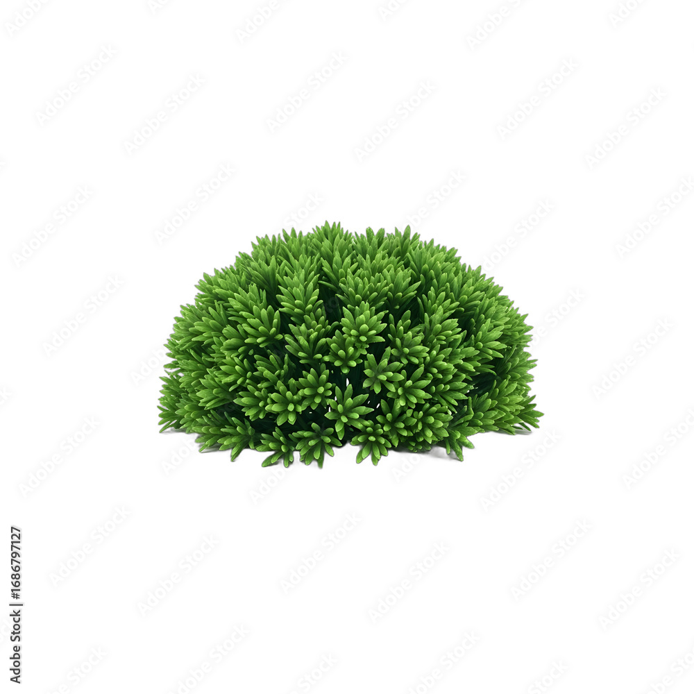 Fototapeta premium Detailed Bushy Greenery Isolated Plant Objects on Transparent Background