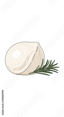 Fresh mozzarella cheese ball with rosemary sprig on a white background for culinary delight