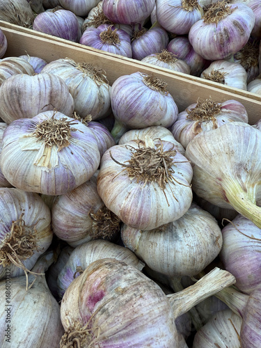 garlic in market