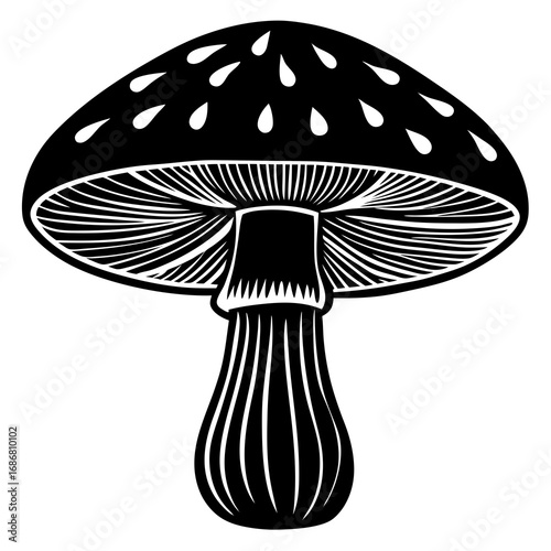 Black and White Silhouette of a Fly Agaric Mushroom with Detailed Gills and Stem toadstool