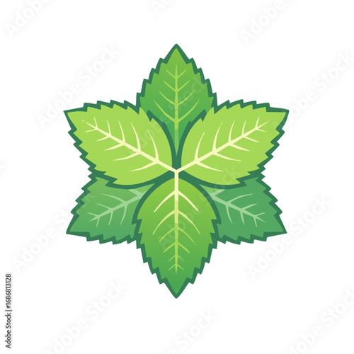 Fresh Mint Leaf Star Icon Symmetrical Green Plant Vector Graphic