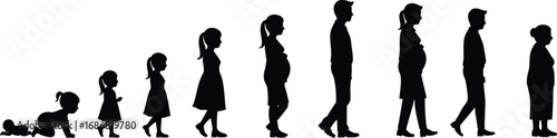 Human life stages silhouette vector showing growth from baby to elderly, evolution of people, family generations, aging process illustration