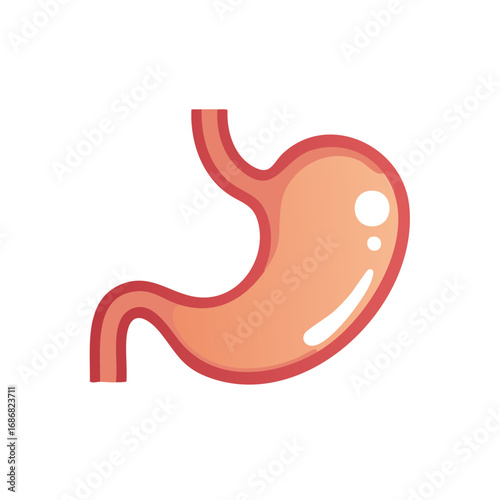 Simple cartoon illustration of a human stomach organ. Anatomy icon for digestive health and medical concepts.