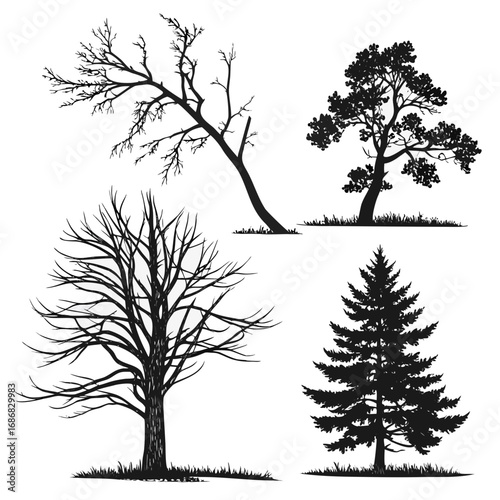 Εκτύπωση καμβά Bare deciduous pine evergreen trees silhouettes grass bare tree deciduous tree