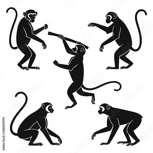 Black monkeys climbing sitting jumping interacting with stick primate animal