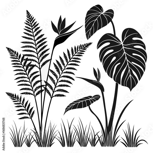 Black silhouettes of tropical plants and grass fern monstera