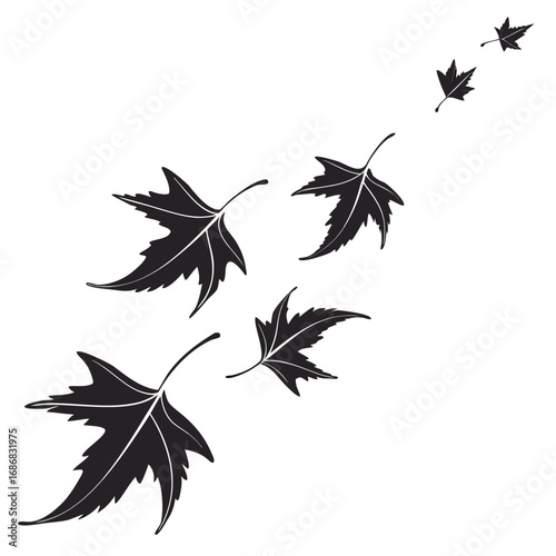 Black sycamore leaves falling in motion falling leaves autumn