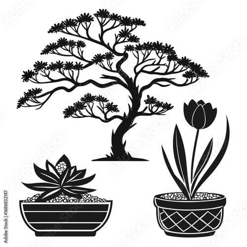 Bonsai tree succulent and tulip potted plants flower