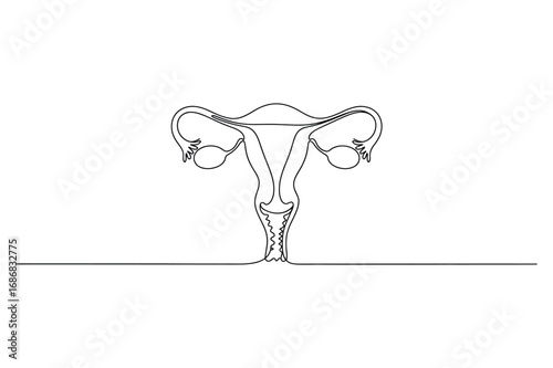 Continuous Line Female Anatomy Illustration – Uterus and Ovaries Vector