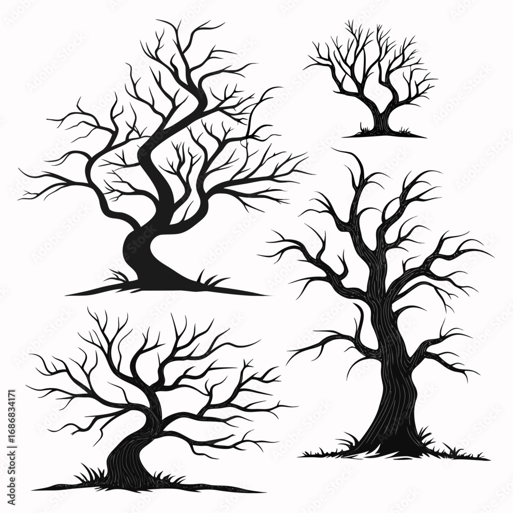Obraz premium Five gnarled bare trees silhouette spooky