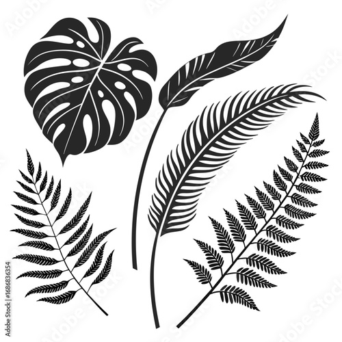 Monstera leaf and fern frond silhouettes tropical plant jungle leaf