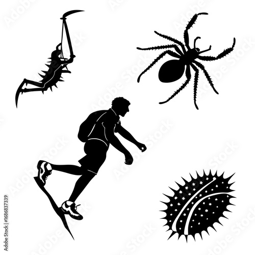 Silhouette collection of a spider a man on a skateboard and a spiky object arachnid