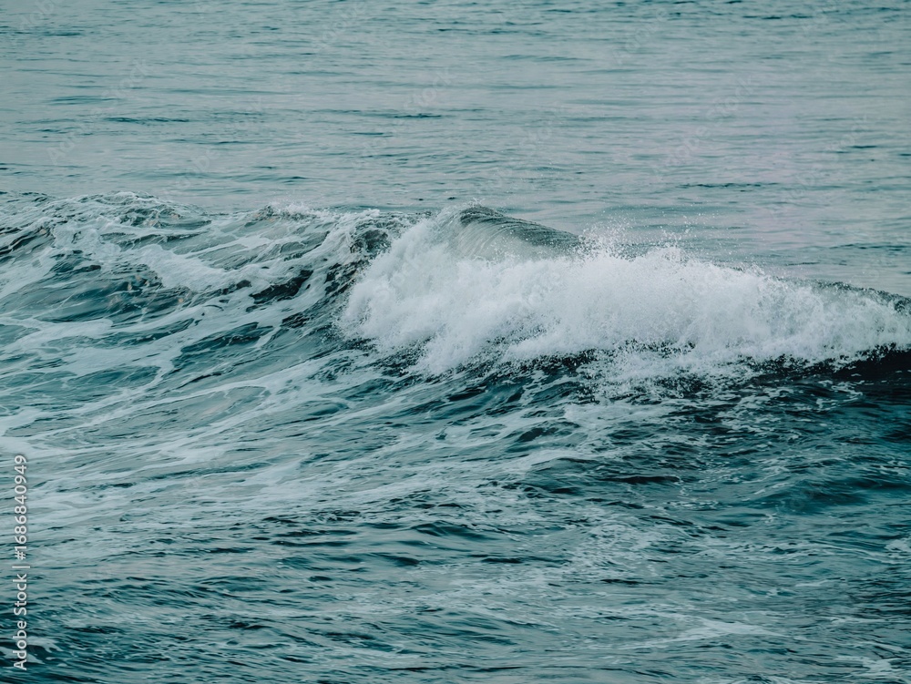 Fototapeta premium Dynamic ocean wave in motion.