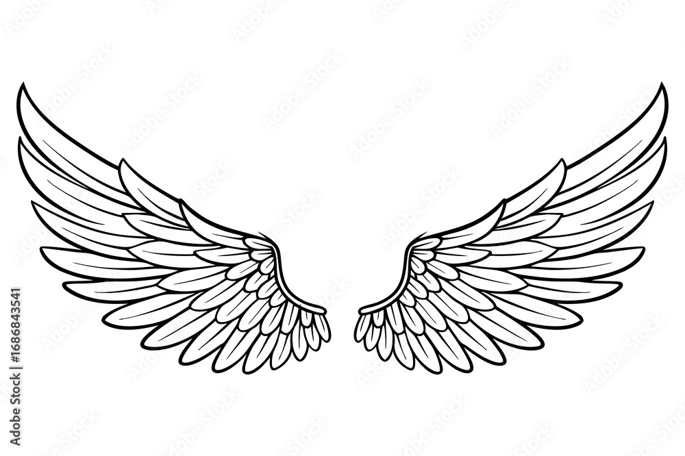 Obraz premium Vector Illustration of Detailed Angel Wings Line Art
