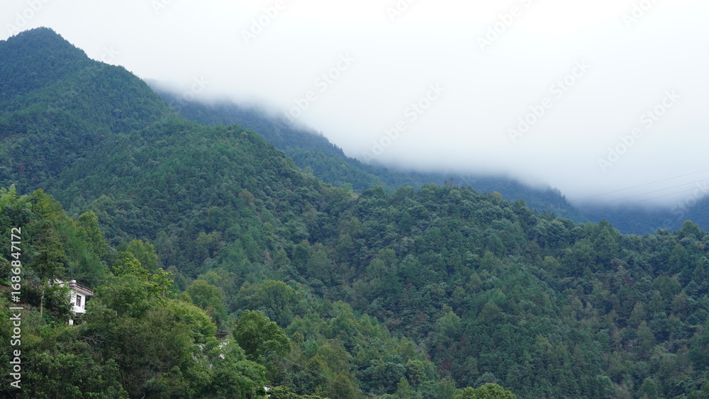 Fototapeta premium The river valley landscape with the mountains and forest as background in summer 