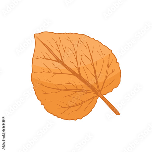 Hand drawn vintage sketch of autumn linden leaf in warm orange rustic style isolated botanical vector illustration