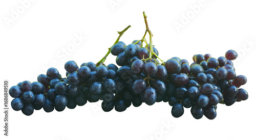 There is a bunch of black grapes on a white background.