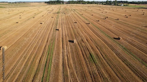 harvest time in countryside Lithuania