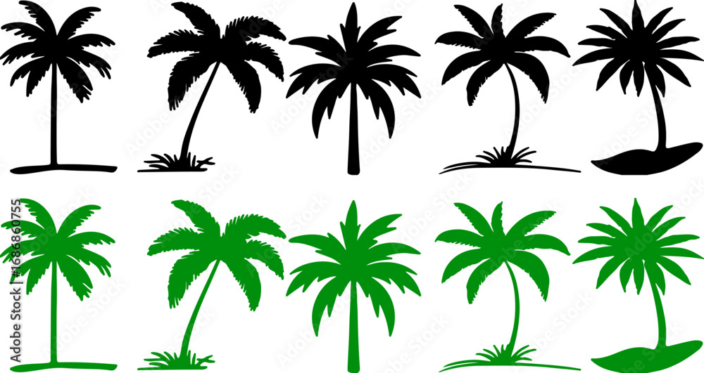 Fototapeta premium palm tree, silhouette, tropical, island, beach, nature, summer, vacation, travel, green, black, isolated, collection, variety, sway, fronds, trunk, growth, vegetation, flora, landscape, scenic, exotic