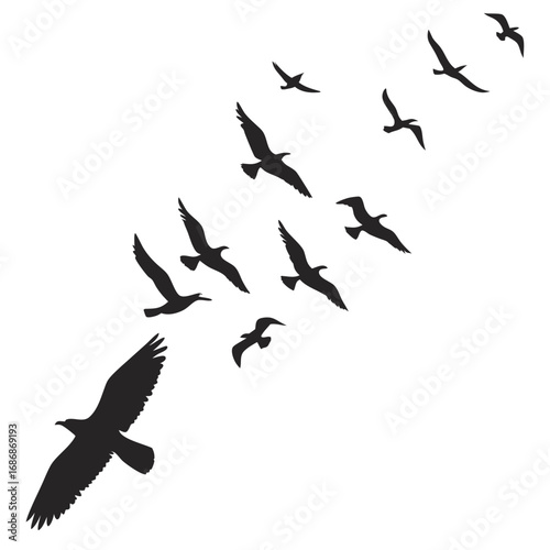 Flock of birds soaring across a white expanse flying