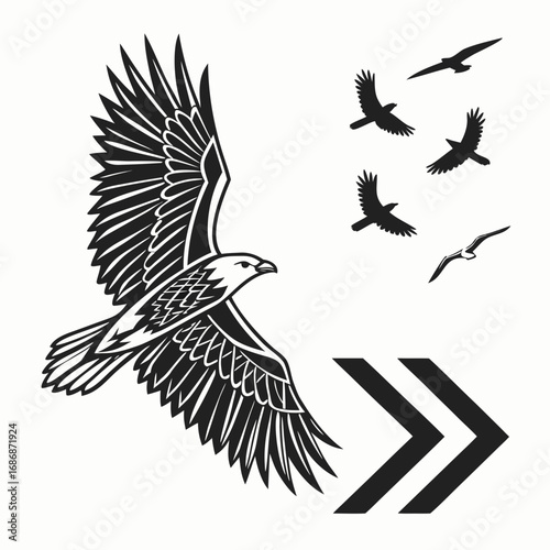 Majestic eagle soaring with flock and directional arrows