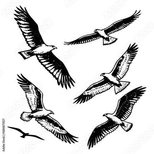 Majestic eagles soaring in flight black ink bird wings