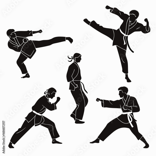 Martial artists in action poses martial arts karate