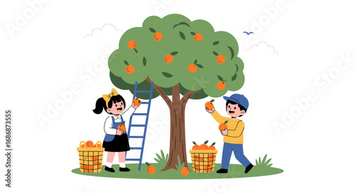 Children happily picking ripe oranges from a tree into baskets during a sunny day enjoying outdoor activity