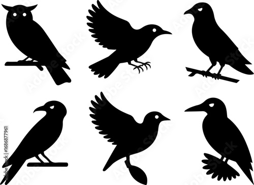 "Birds of Prey Silhouette Collection"