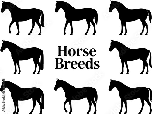 Horse Breeds Silhouette Collection" Vector Bundle