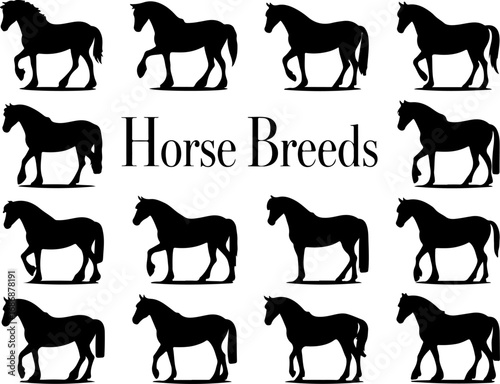 Horse Breeds Silhouette Collection" Vector Bundle