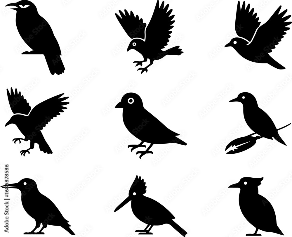 Obraz premium Bird Silhouette Vector Bundle – Owl, Crow, Flying Birds