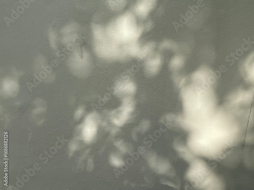 shadow leaves on white wall texture background	
