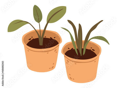 Garden plant in pots. Farming and horticulture concept. Garden and seedling vector in flat style.