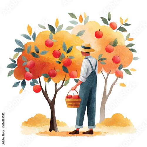 Watercolor Illustration of Farmer Harvesting Apples from Orchard Trees