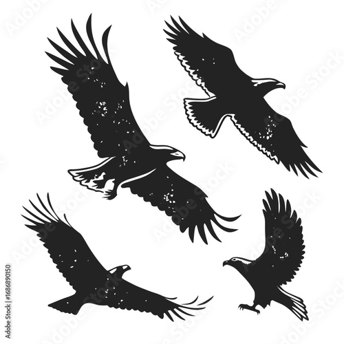 Four soaring eagles black silhouette bird flying