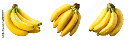 Panel kuchenny z motywem Three bunches of fresh ripe yellow bananas with water droplets against a dark backdrop isolated on a white or transparent background