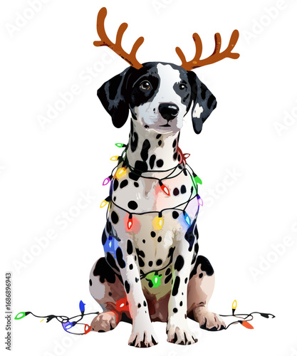 Cute dalmatian dog wearing reindeer antlers and wrapped in colorful christmas lights isolated on transparent background