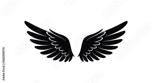a pair of black wings spread wide against white background