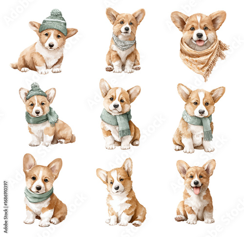 Watercolor corgi dog clipart set with cute puppies, fluffy pets, handpainted cartoon animals for nursery and kids room. Collection of Vector illustrations. Perfect for invitation, card, poster, banner